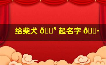 给柴犬 🐳 起名字 🌷